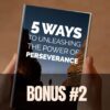 5 ways of unleashing power of perserverance ebook